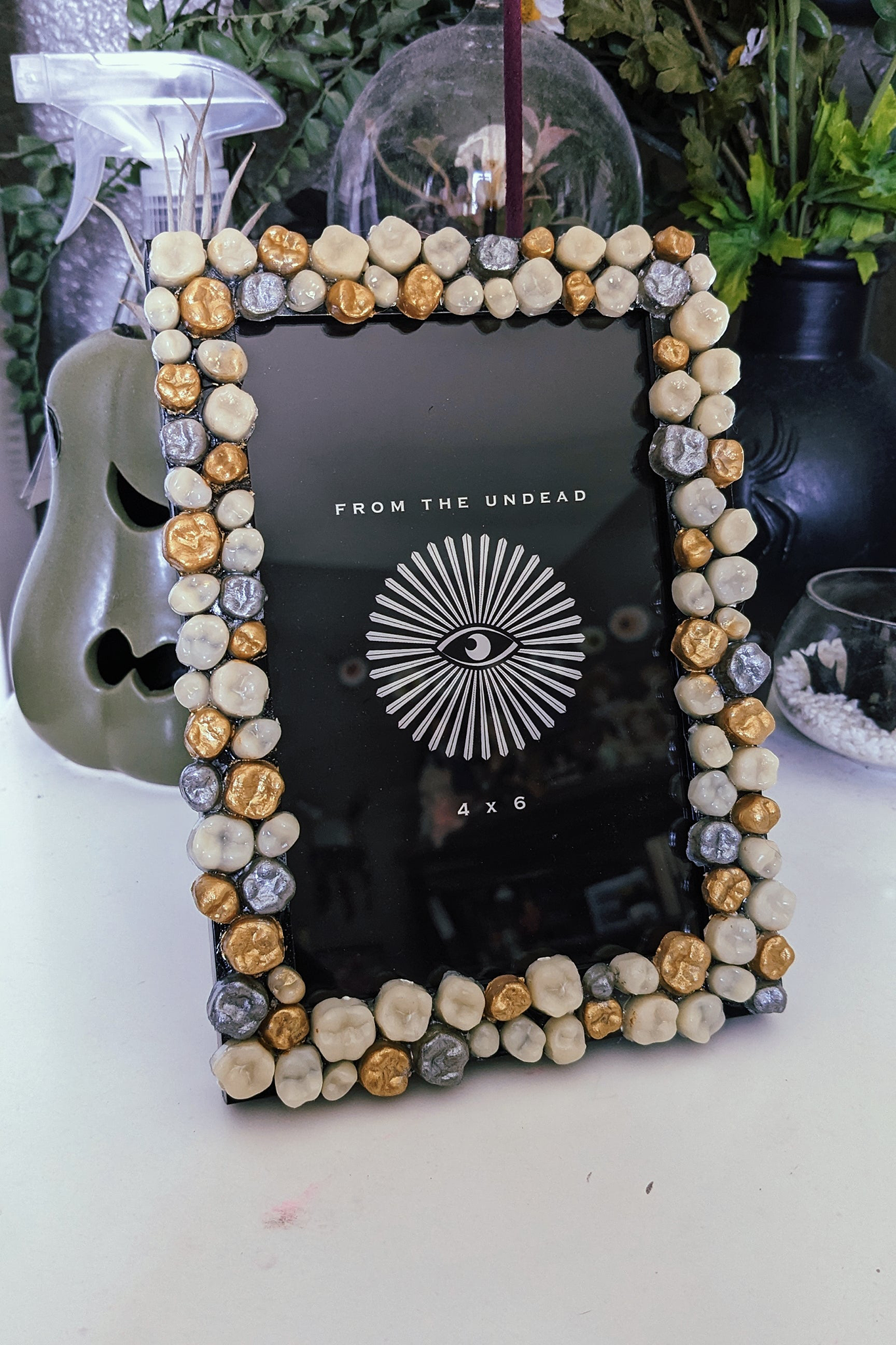 An Assortment of Teeth 4x6 Frame